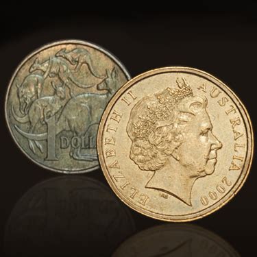 Rare ‘mule’ dollar resurfaces .